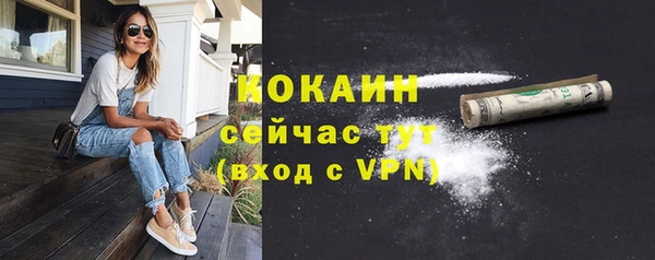 PSILOCYBIN Аркадак