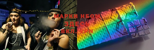 PSILOCYBIN Аркадак
