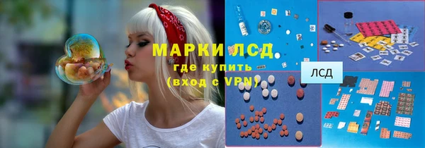 PSILOCYBIN Аркадак