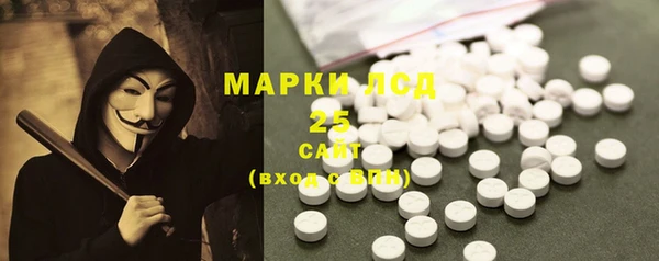 PSILOCYBIN Аркадак