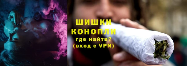 PSILOCYBIN Аркадак