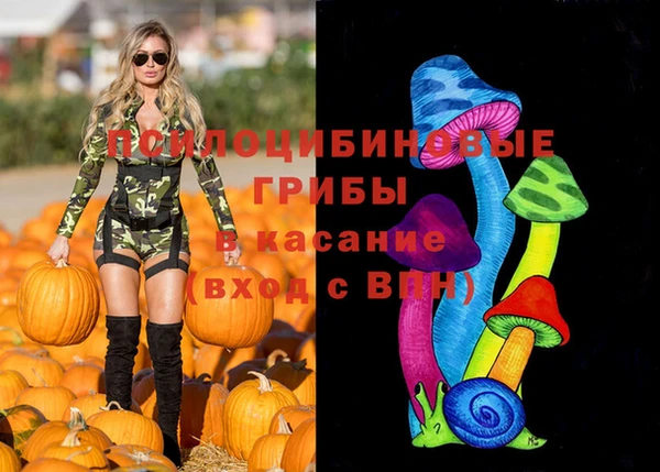 синтетический гашиш Арсеньев