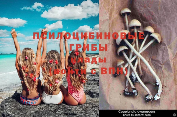 ешки Армянск