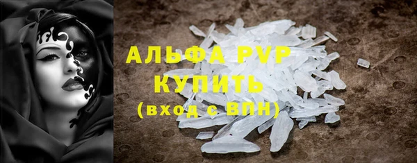 PSILOCYBIN Аркадак
